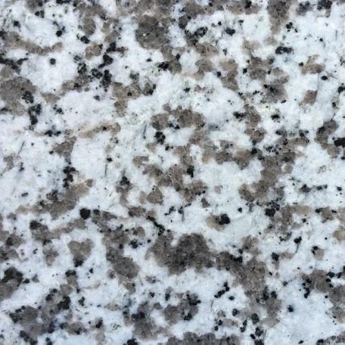 Büyük Beyaz Çiçek