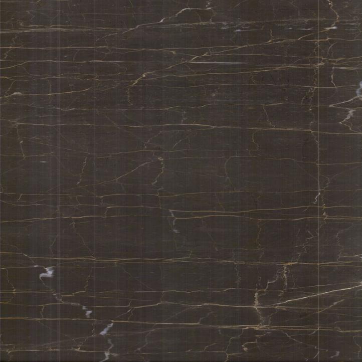 Luxury brown golden tiles indoor inside