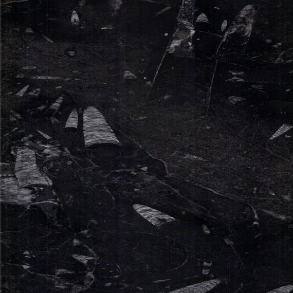 En iyi kahverengi mermer levha inşaat malzemesi