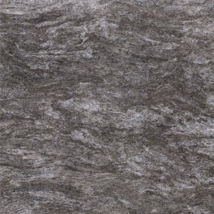 İskoç gümüş grisi (2)