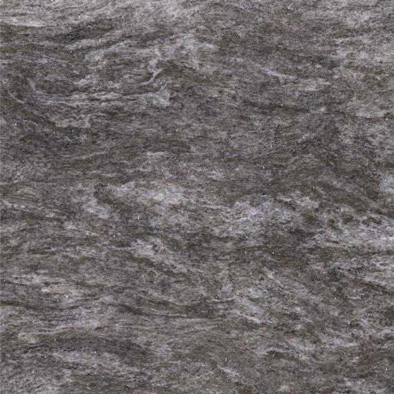 İskoç gümüş grisi (2)