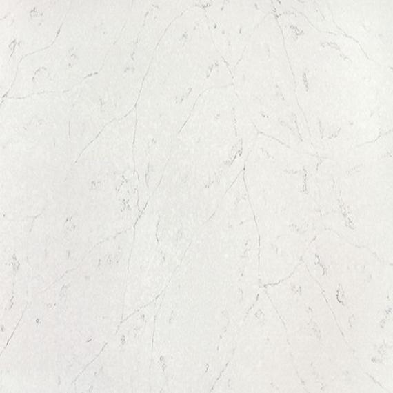 Fosilleşmiş desen ve dokuya sahip kuvars