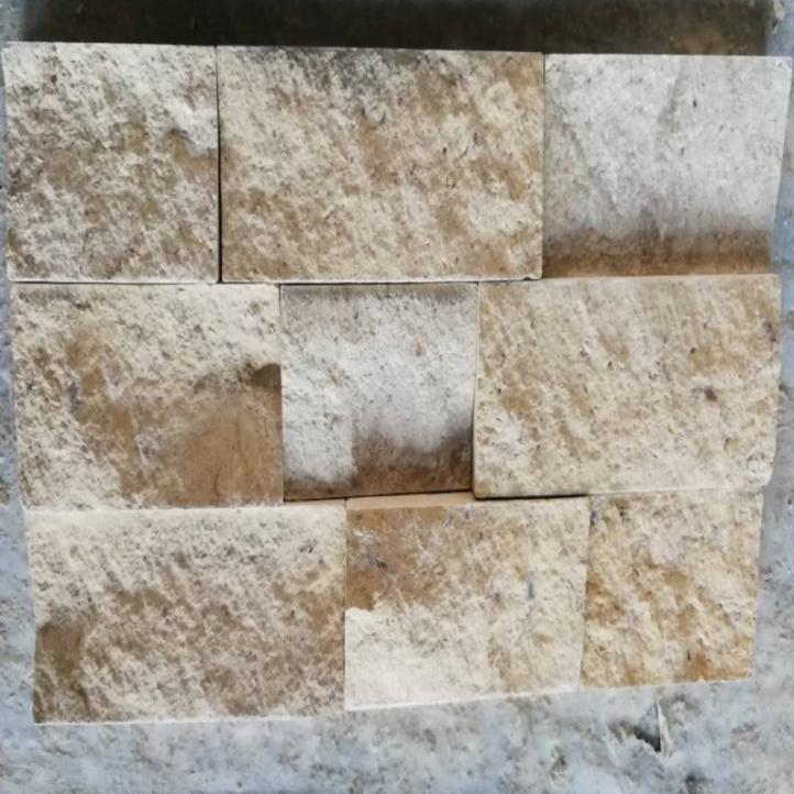 Mağara Mozaiği (4)