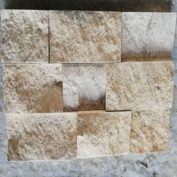 Mağara Mozaiği (4)