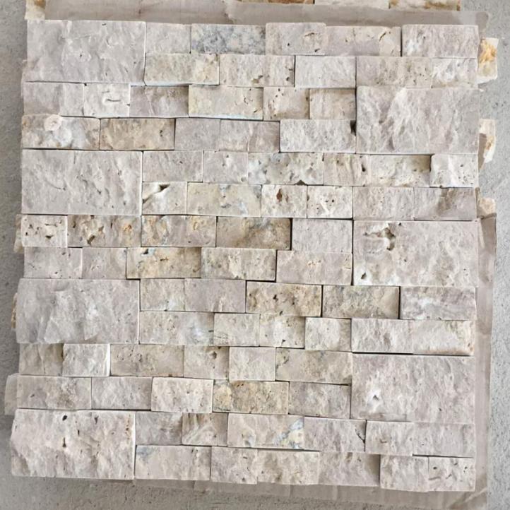 Mağara Mozaiği (16)