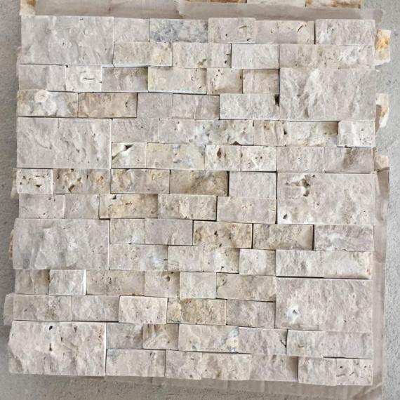 Mağara Mozaiği (16)