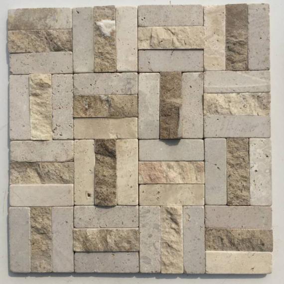 Mağara Mozaiği (18)