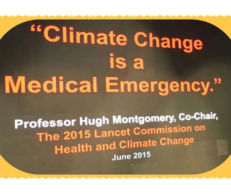 Angela'nın gözlemleri. İklim gerçeği: Değişen İklim ve Tarım İçin Tasarım - Kentsel Çiftçiliği de İçeren Modern Mimari Tasarım